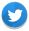 Twitter icon